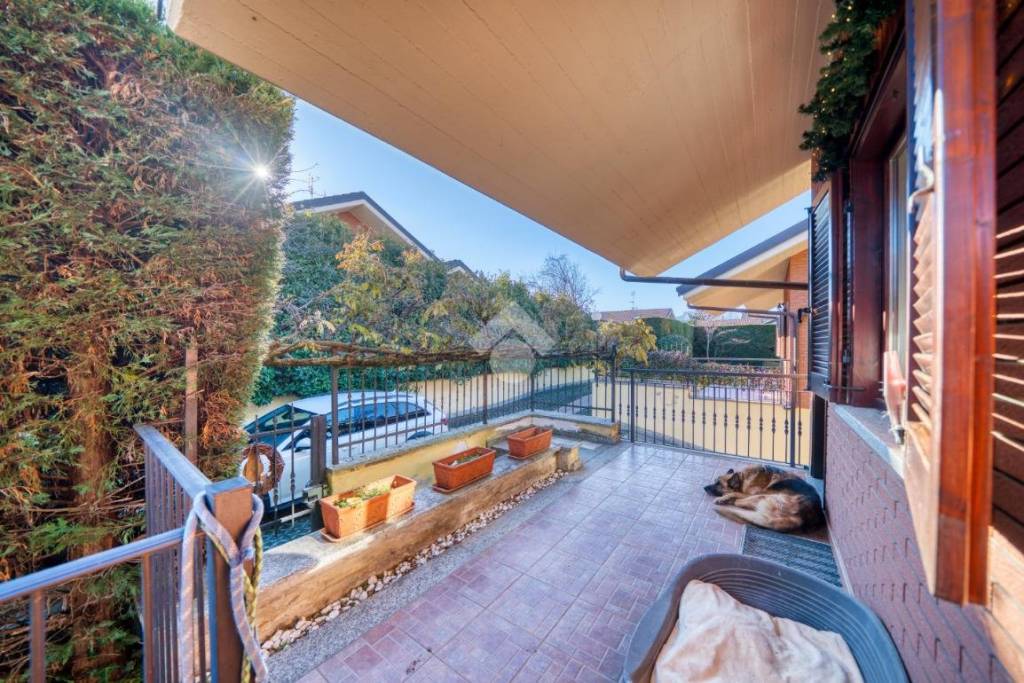 immagine annuncio 1 di 15