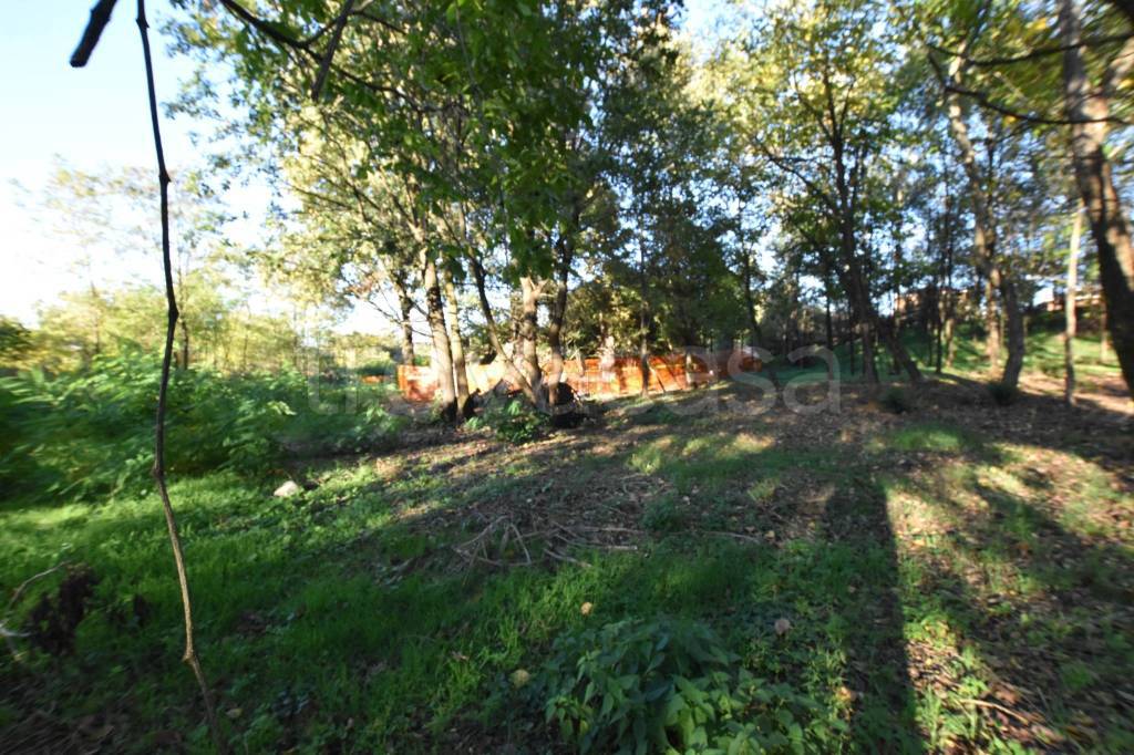 immagine annuncio 3 di 14