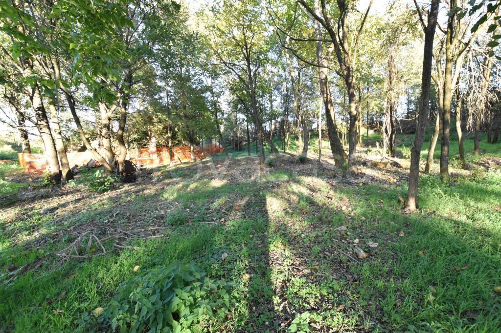 immagine annuncio 4 di 14