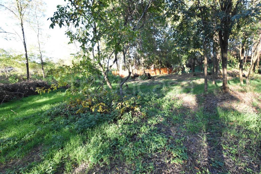 immagine annuncio 7 di 14