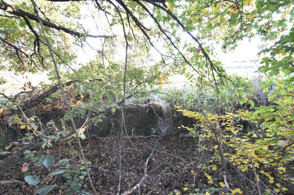 immagine annuncio 11 di 14