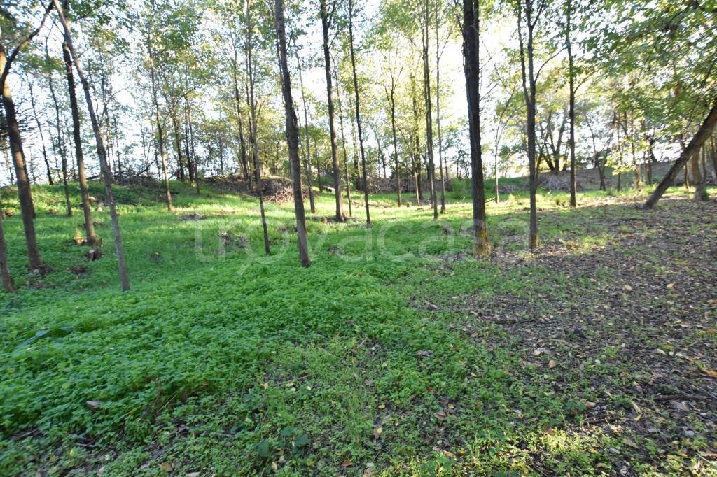 immagine annuncio 13 di 14