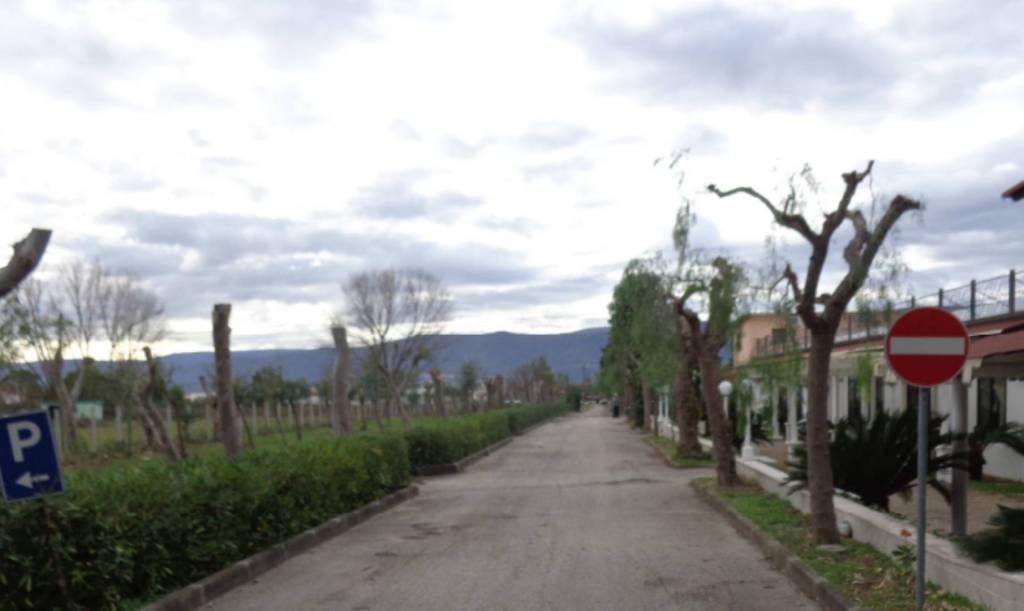 immagine annuncio 3 di 13