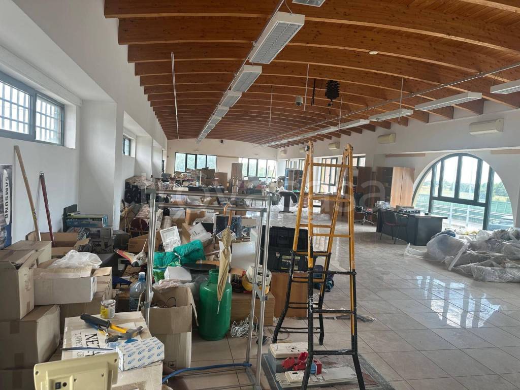 immagine annuncio 4 di 11