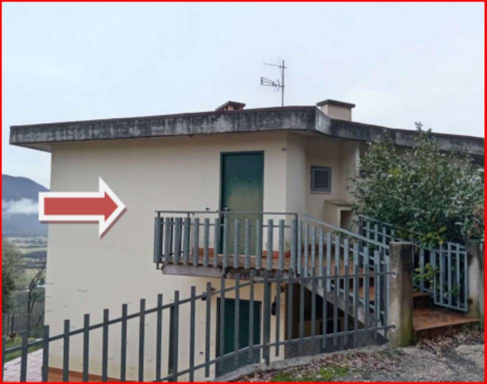 immagine annuncio 2 di 11