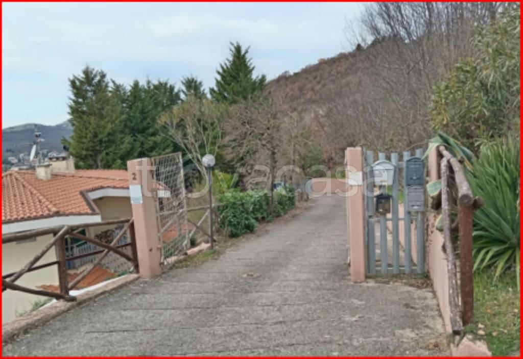 immagine annuncio 4 di 11