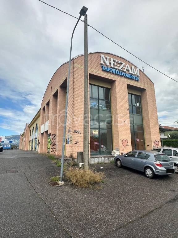 immagine annuncio 7 di 11