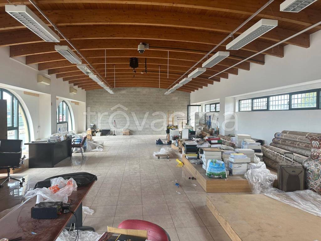 immagine annuncio 10 di 11