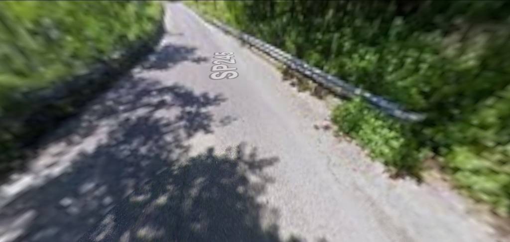 immagine annuncio 6 di 12