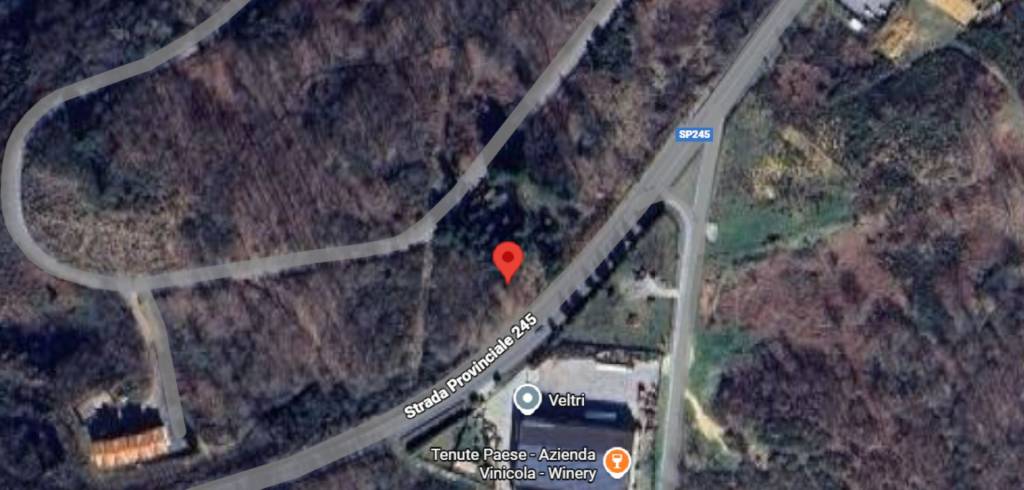 immagine annuncio 6 di 11