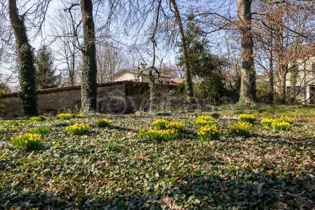 immagine annuncio 11 di 14