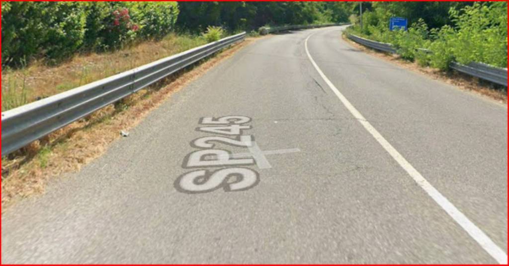 immagine annuncio 5 di 12