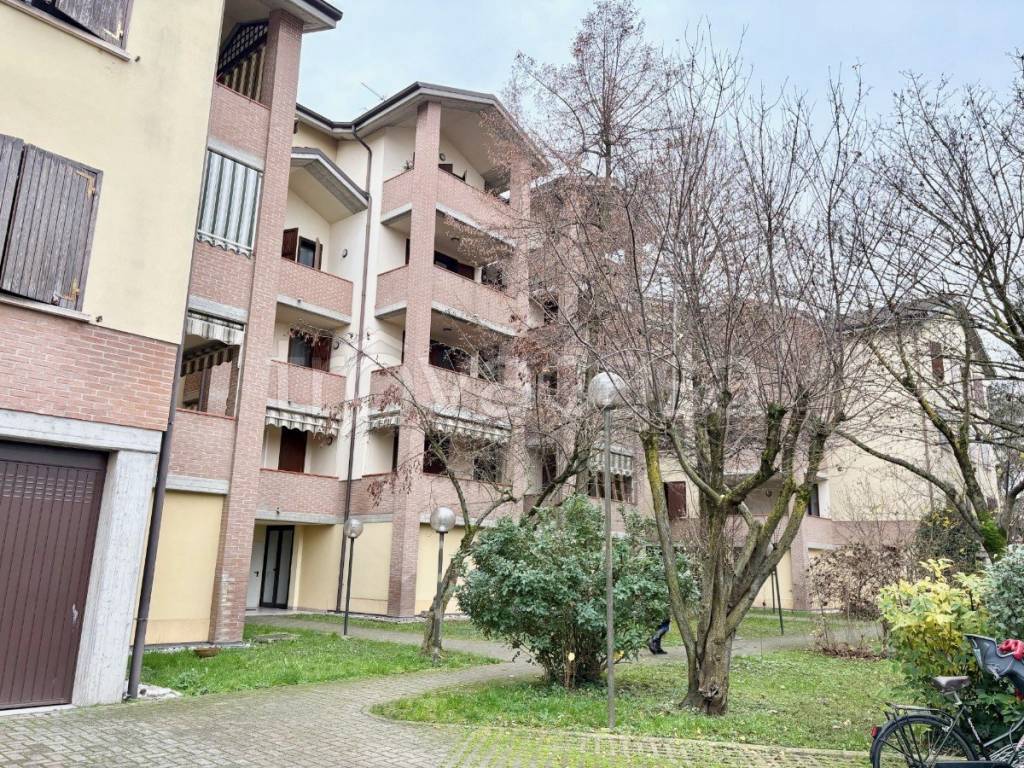 immagine annuncio 5 di 6