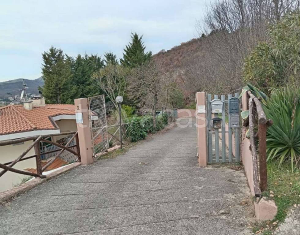 immagine annuncio 2 di 9