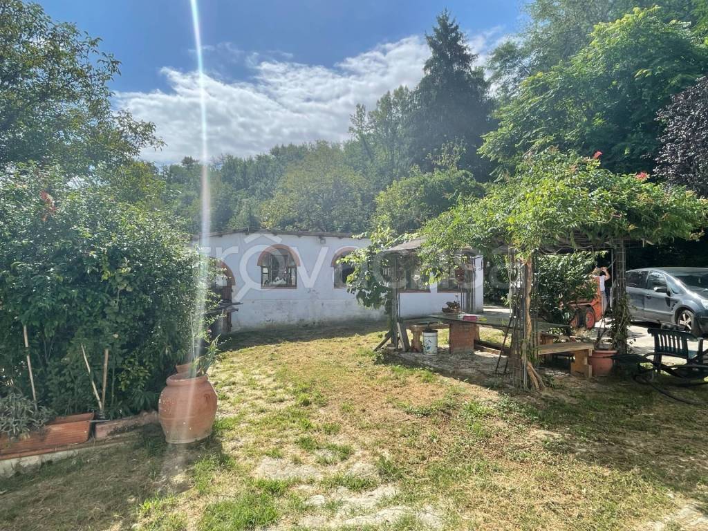 immagine annuncio 10 di 15