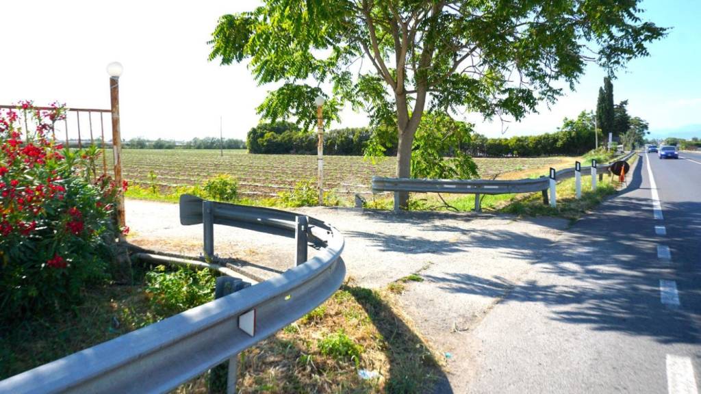 immagine annuncio 1 di 14