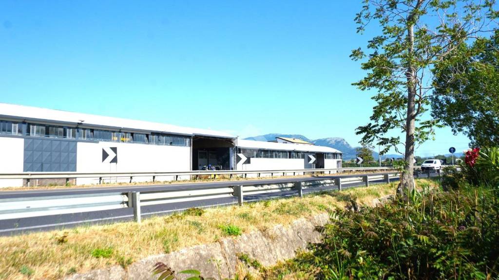 immagine annuncio 3 di 14