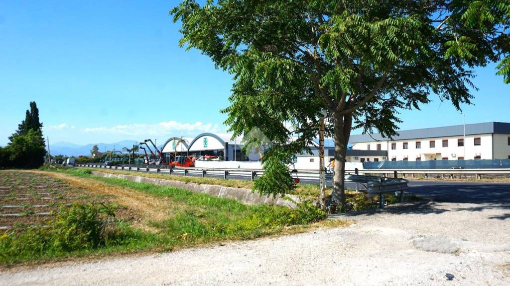 immagine annuncio 6 di 14