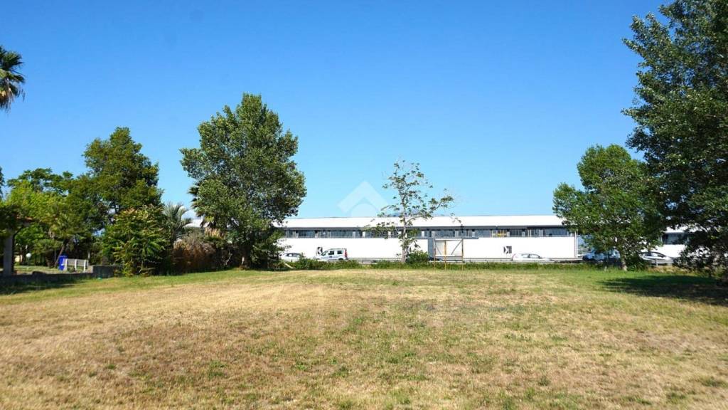 immagine annuncio 9 di 14