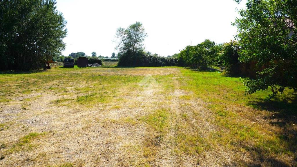 immagine annuncio 11 di 14