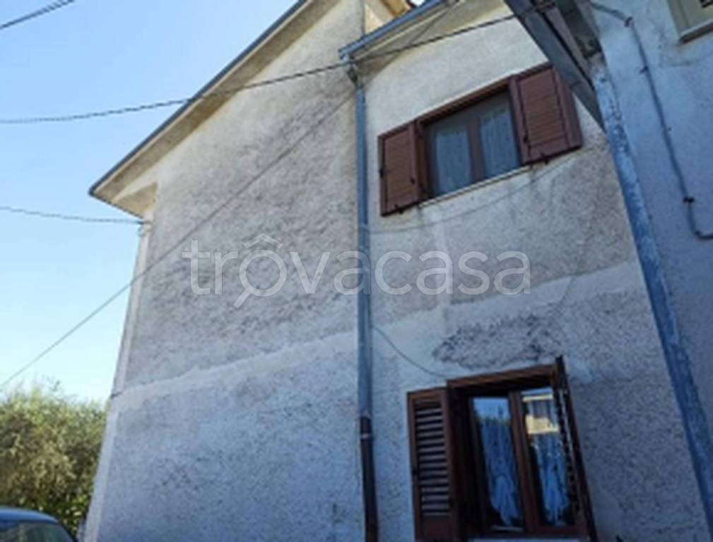 immagine annuncio 7 di 11