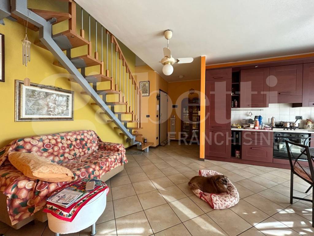 immagine annuncio 3 di 15