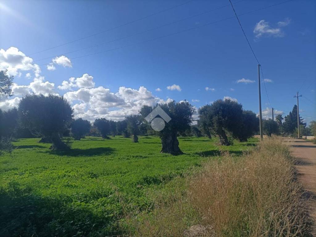 immagine annuncio 11 di 13