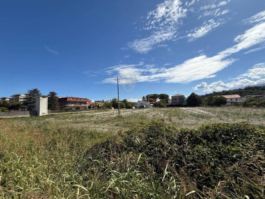 immagine annuncio 10 di 14