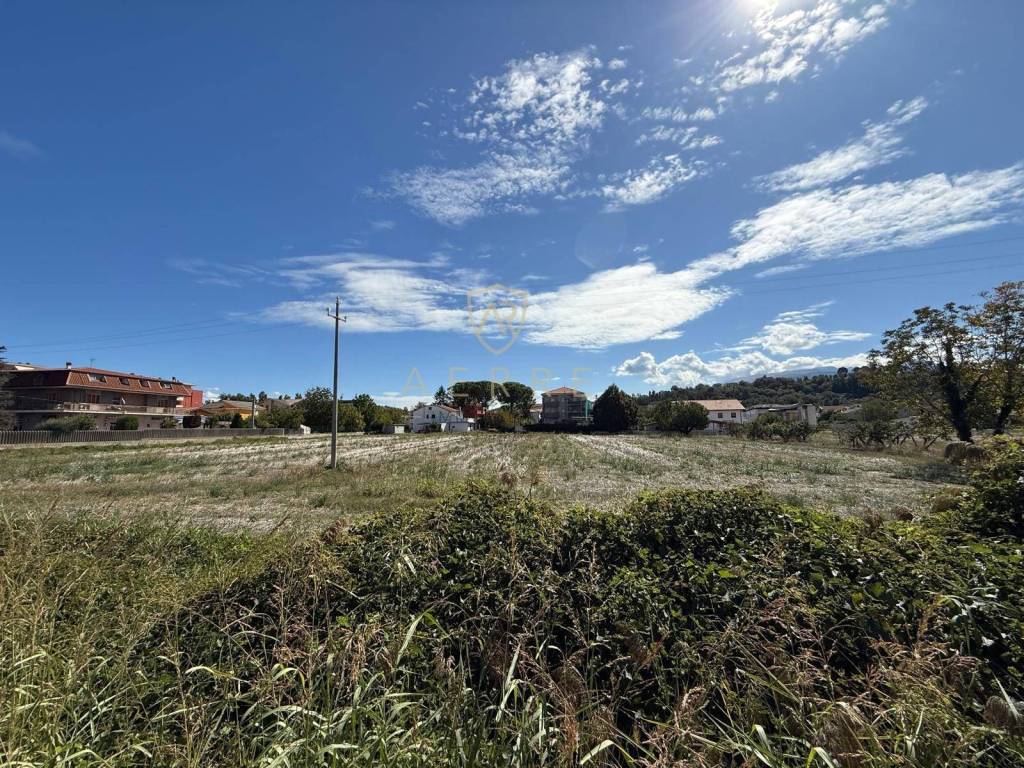 immagine annuncio 12 di 14