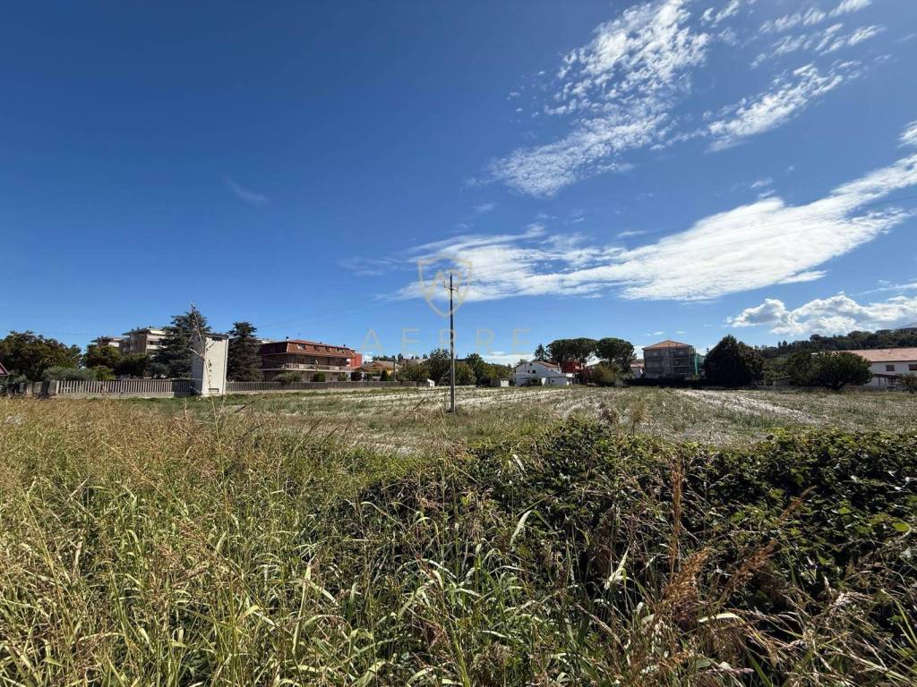 immagine annuncio 13 di 14