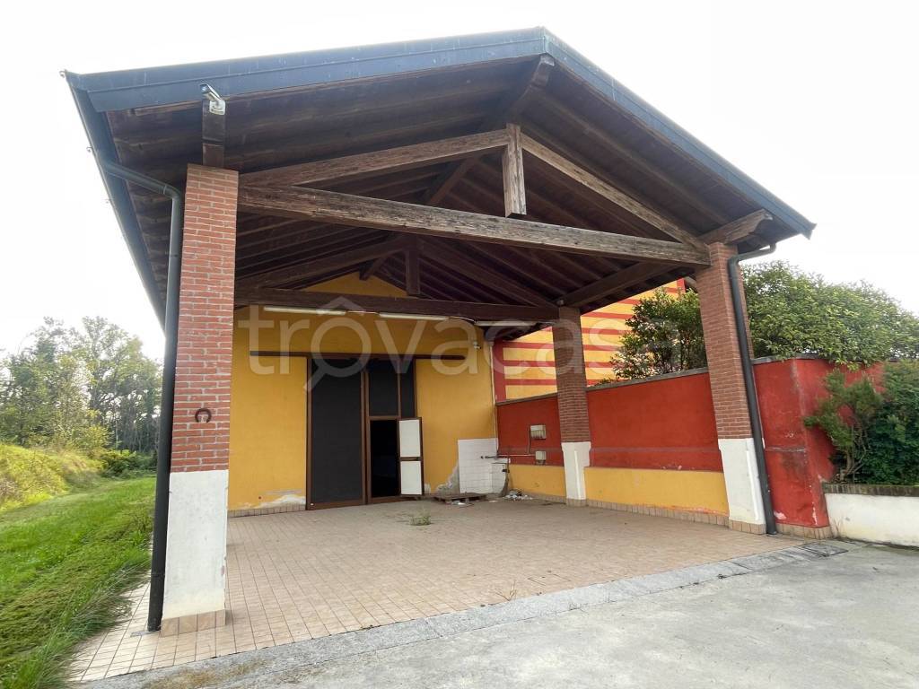 immagine annuncio 12 di 15