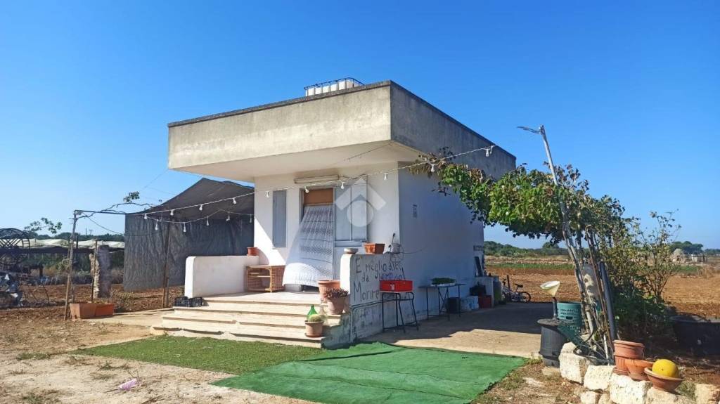 immagine annuncio 3 di 11