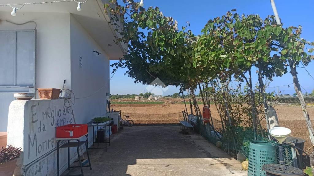 immagine annuncio 10 di 11