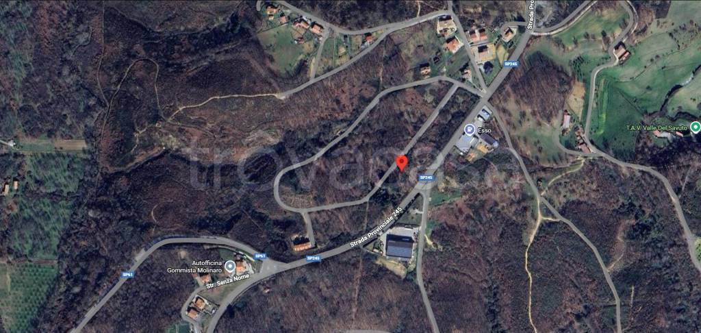 immagine annuncio 9 di 12