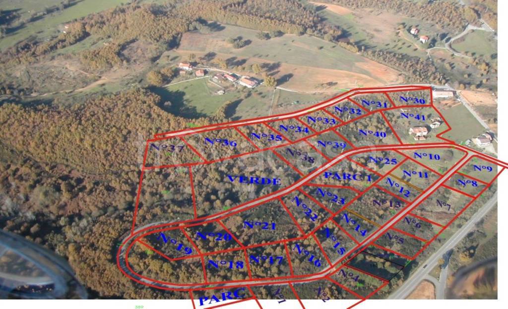 immagine annuncio 11 di 12