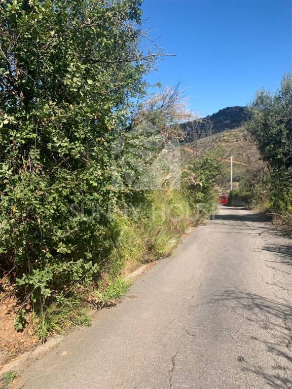 immagine annuncio 3 di 6