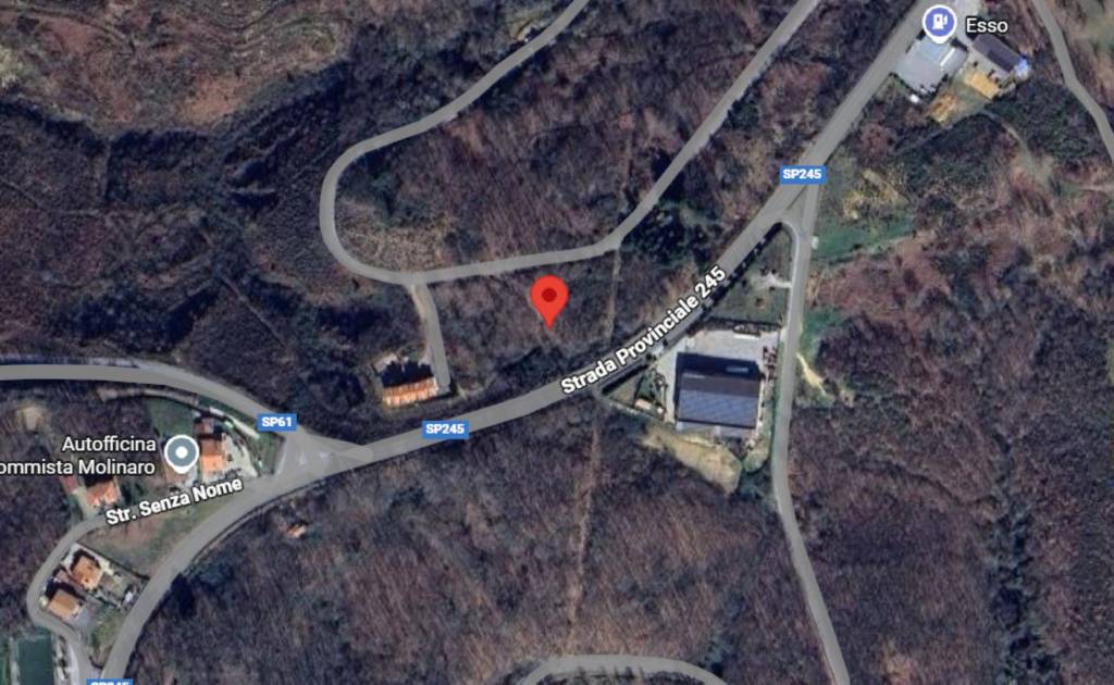 immagine annuncio 1 di 13