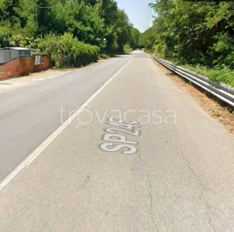 immagine annuncio 2 di 11