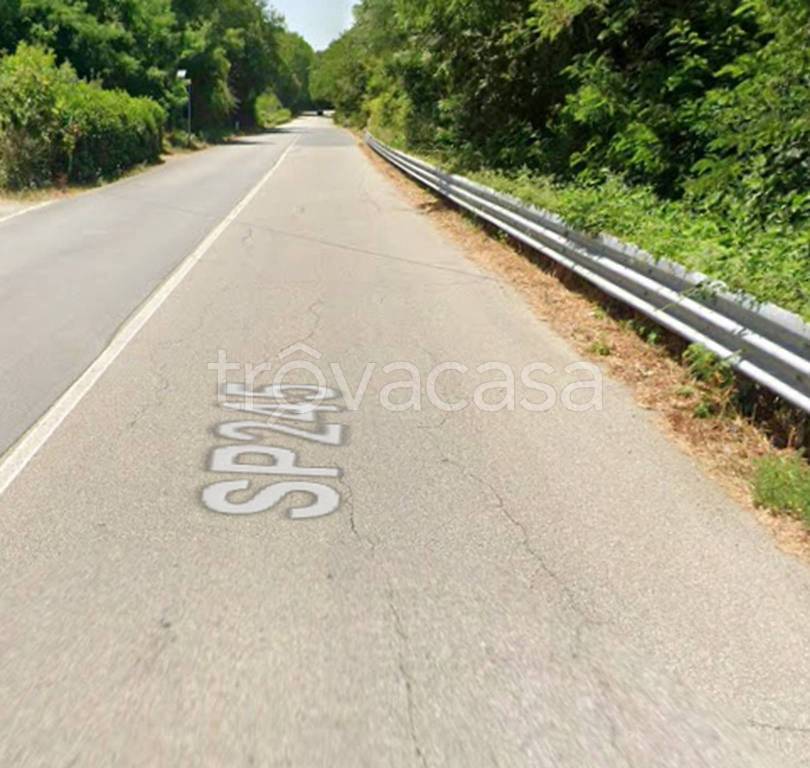 immagine annuncio 4 di 11