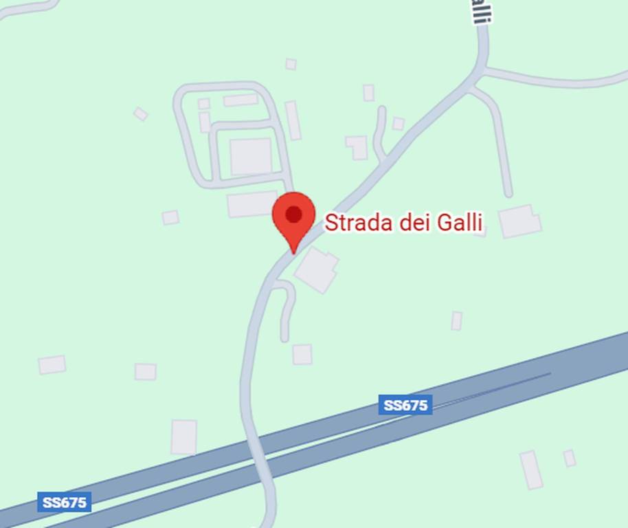 immagine annuncio 9 di 11