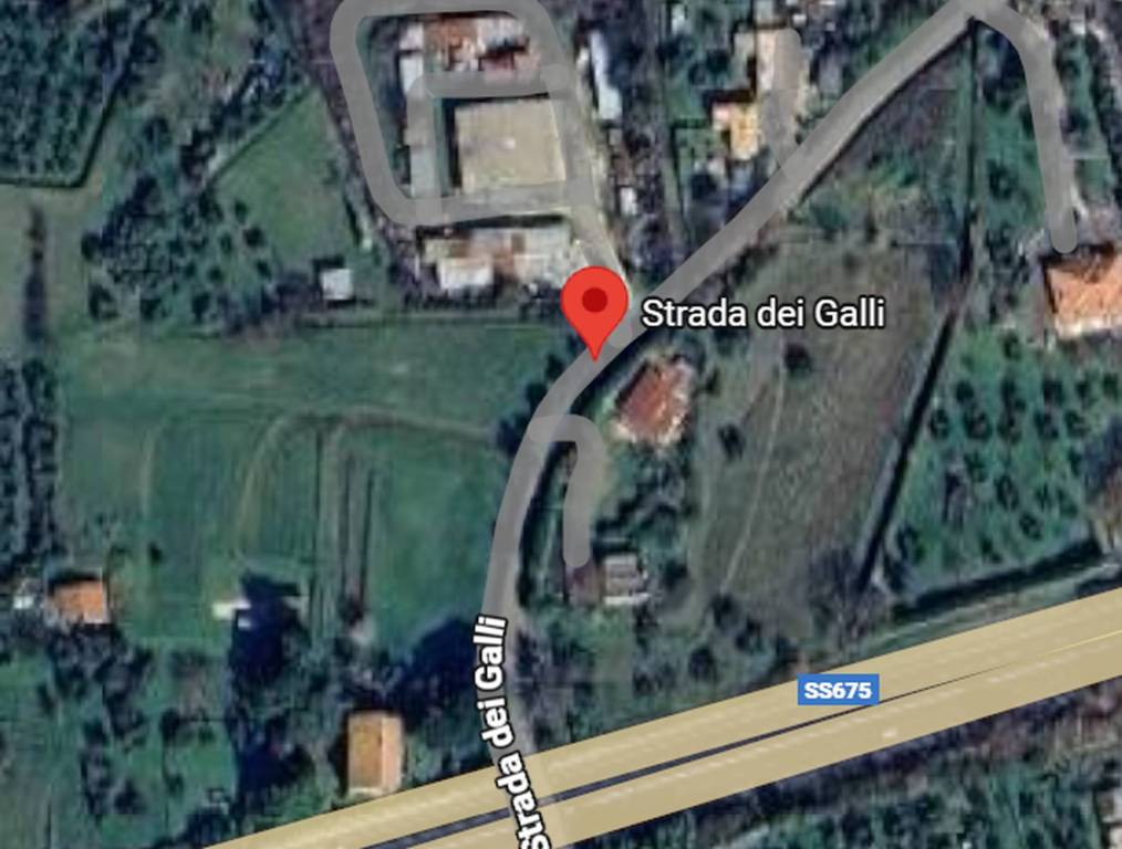 immagine annuncio 10 di 11