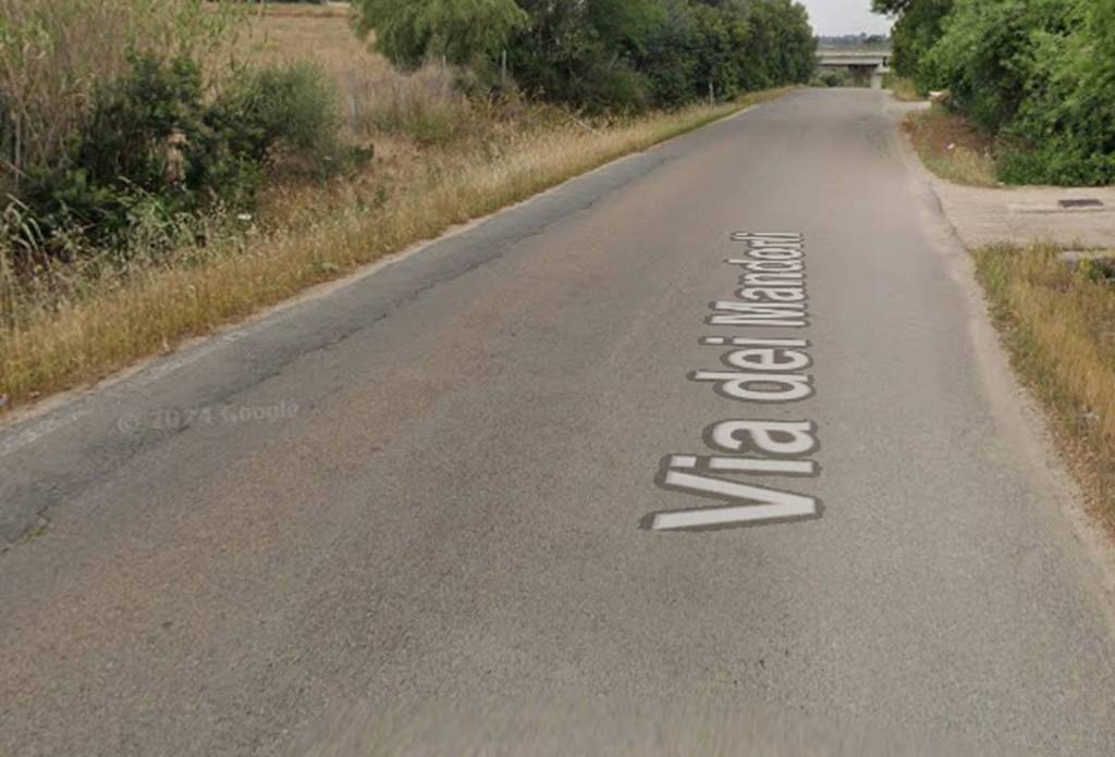 immagine annuncio 6 di 10