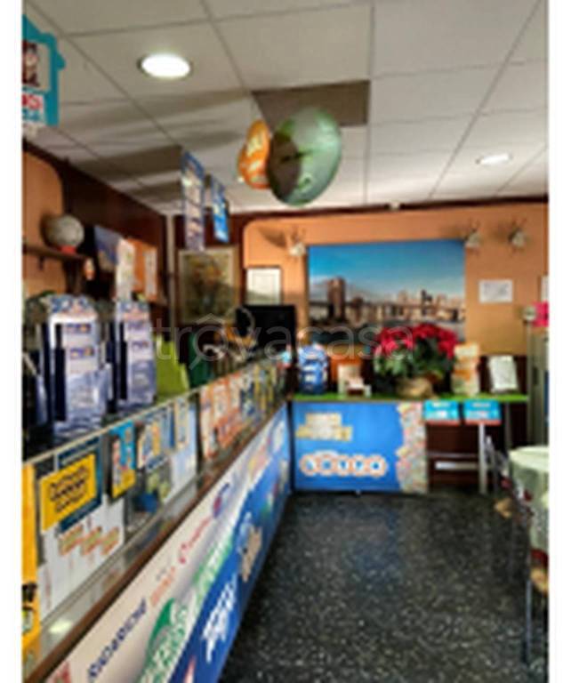 immagine annuncio 5 di 11