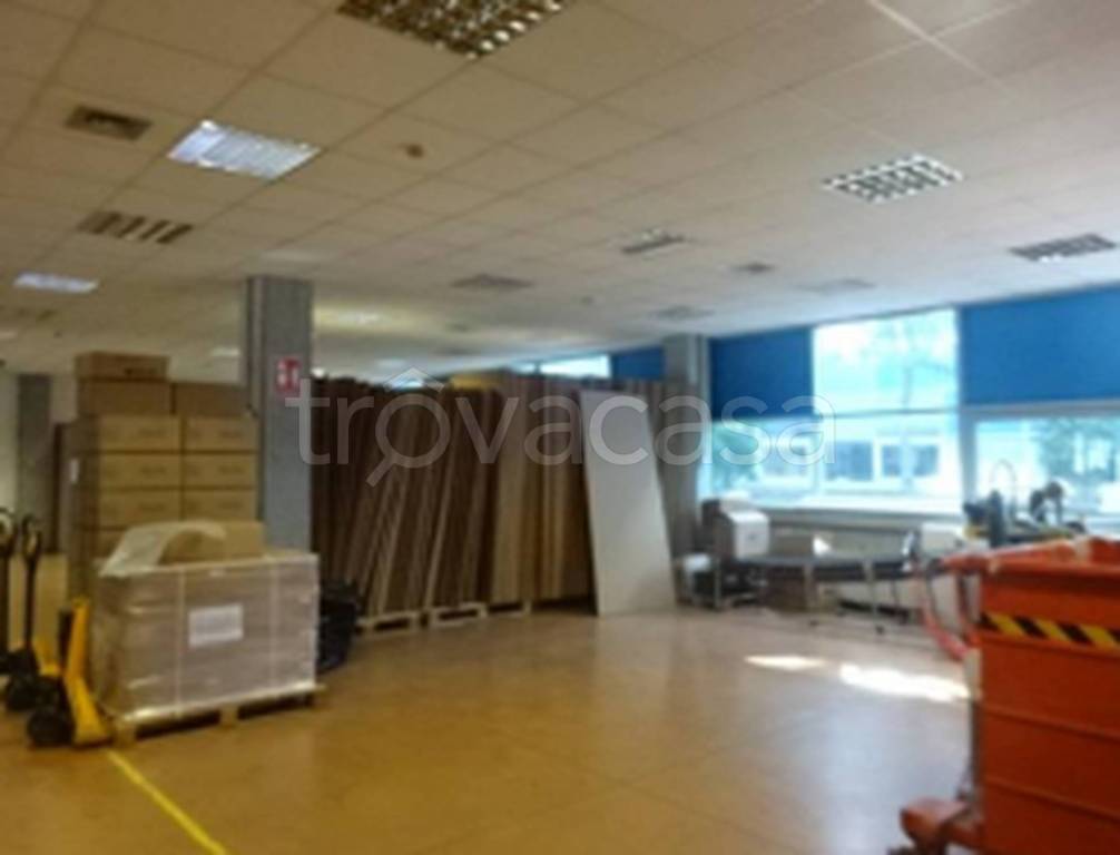 immagine annuncio 2 di 11