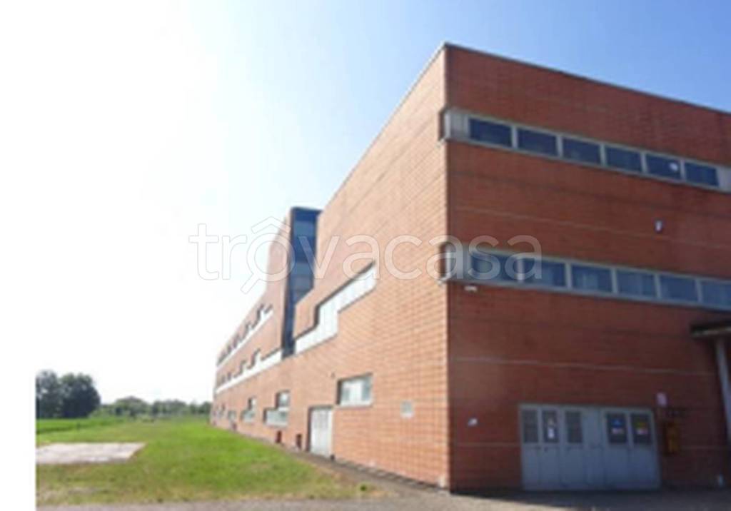 immagine annuncio 8 di 11