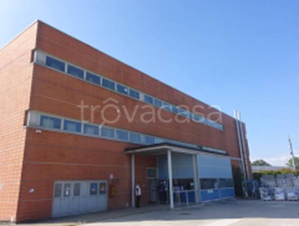 immagine annuncio 10 di 11