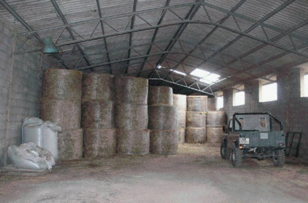 immagine annuncio 5 di 13