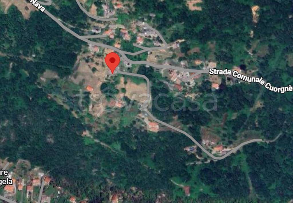 immagine annuncio 6 di 14