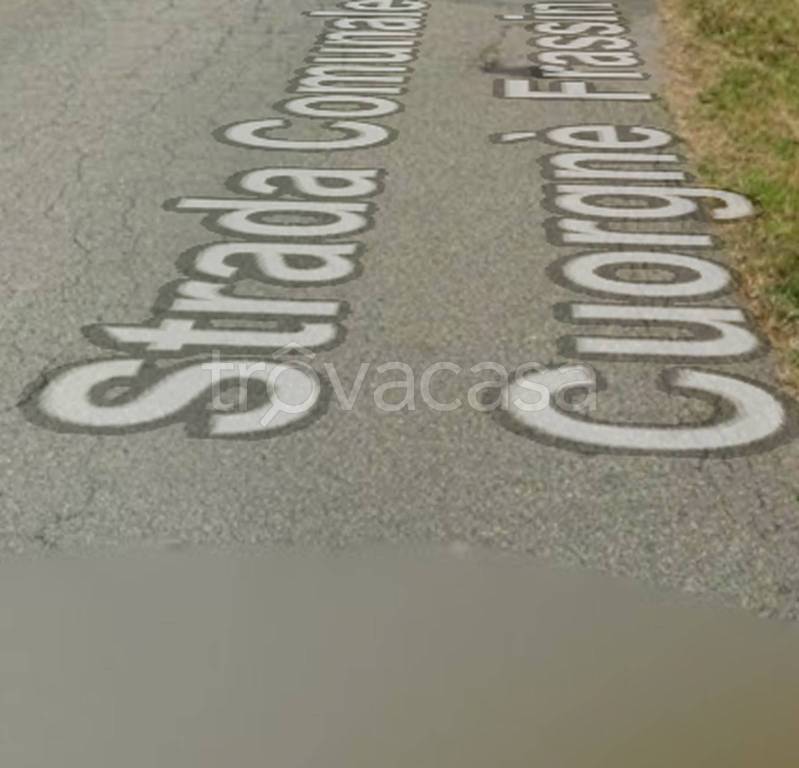 immagine annuncio 9 di 14