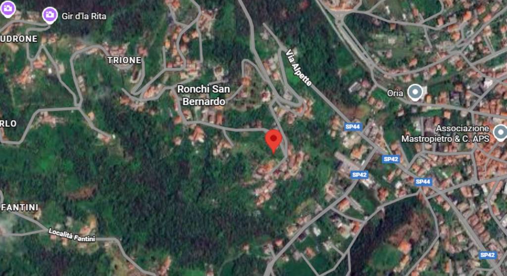 immagine annuncio 4 di 12